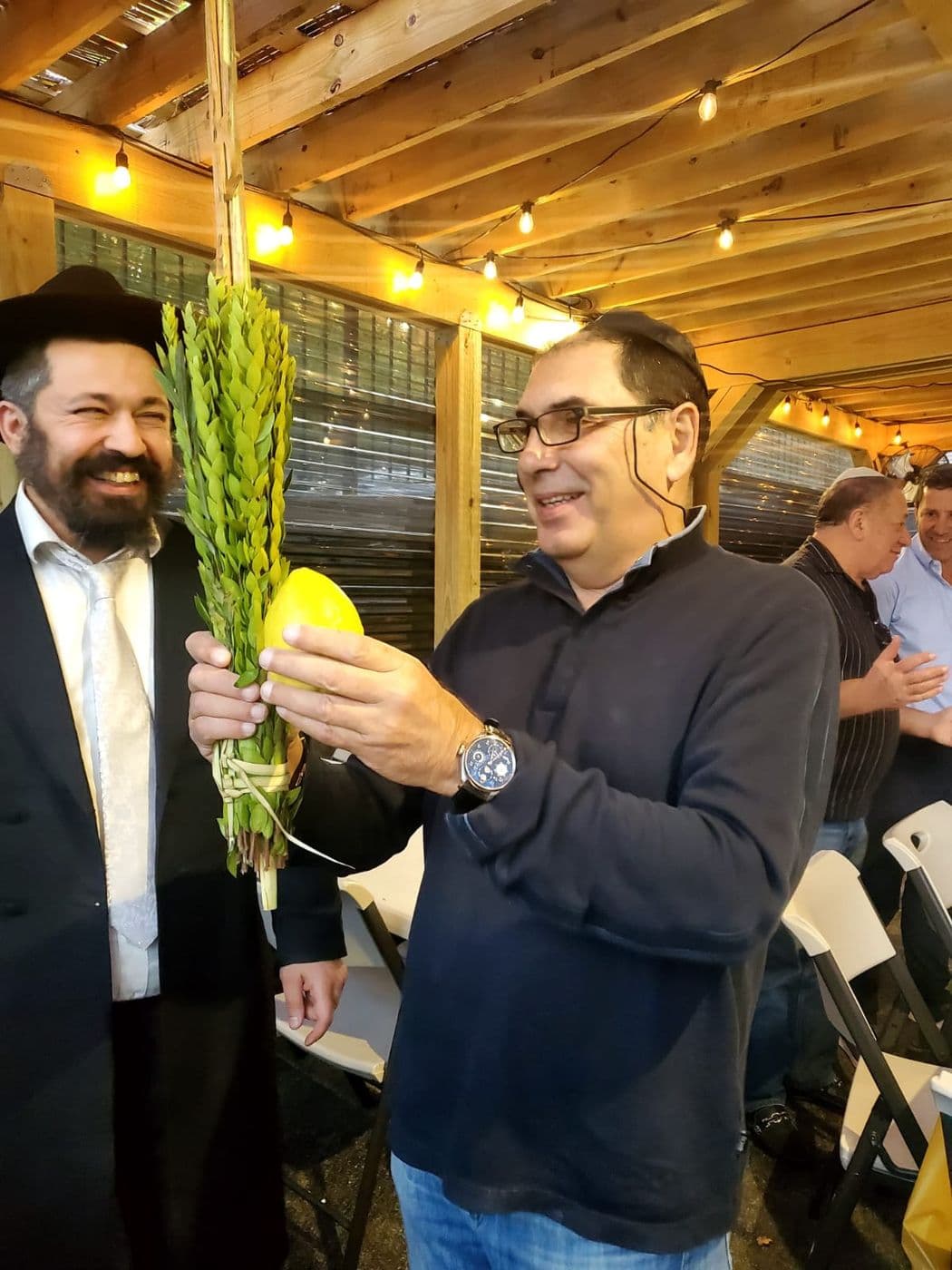 סוכות