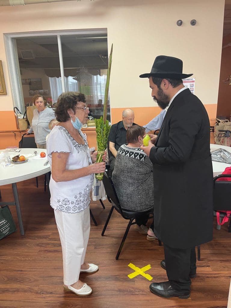 סוכות