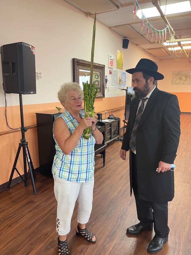 סוכות