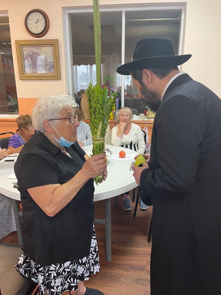 סוכות