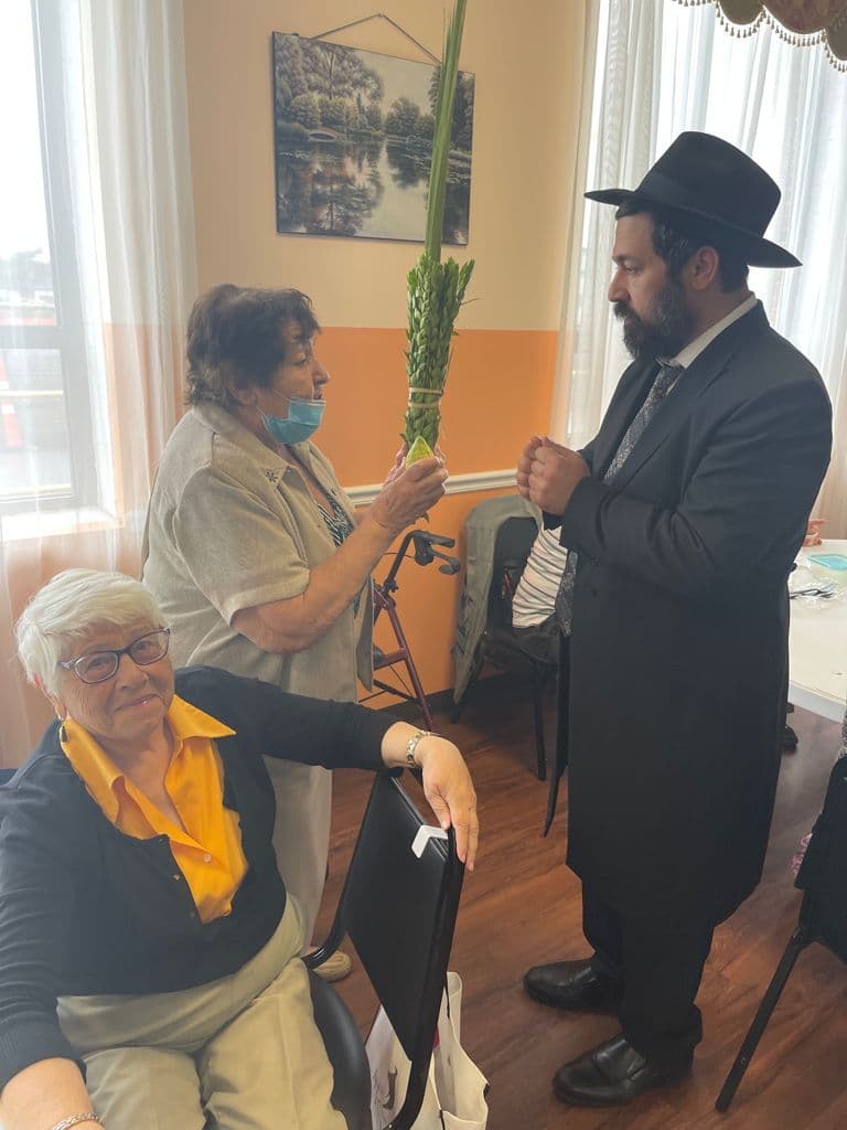 סוכות